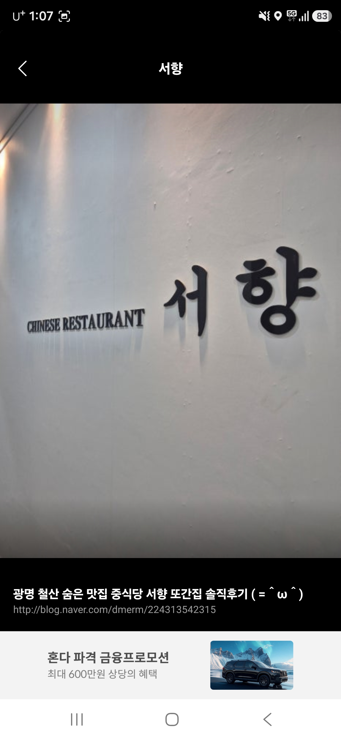 완성된 중식 요리 클로즈업